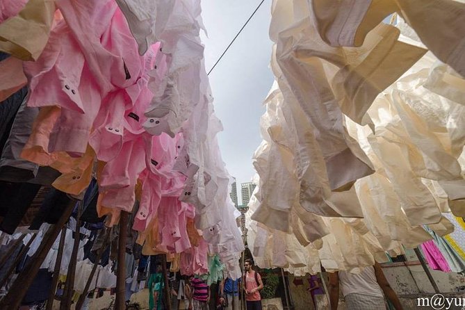 Dabbawala, Dhobi Ghat & Dharavi slum Tour with Local Train Ride - Timing, comfort, and what to bring