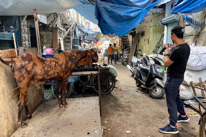 Dharavi Slum Tour in Mumbai with Combo Packages & Transfers - Is the $11.16 price good value?