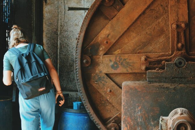 Dharavi Slum Tour in Mumbai with Combo Packages & Transfers - Who will enjoy this experience most?