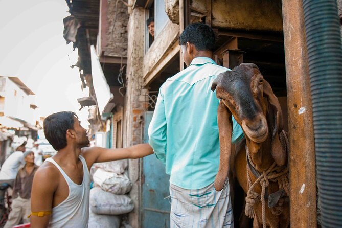 Dharavi Tour Including Car Transfer - Walking through Dharavi’s narrow lanes