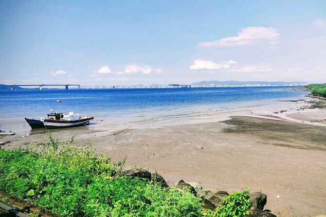 Elephanta Caves Mumbai Private Tour with Local Guide - The ferry across Mumbai Harbour