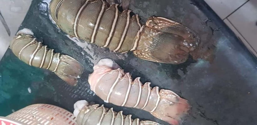 Mumbai Coastal Cooking: From Fishing Net to Flavourful Plate - The fish market and the people behind the catch