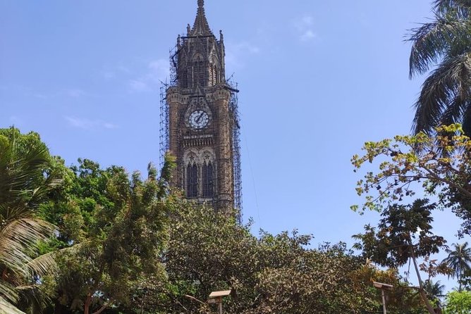 Mumbai Heritage Walking Tour of Colaba and Fort - Cricket at Oval Maidan