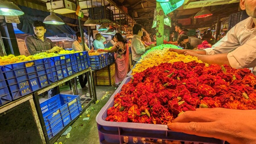 Mumbai Hidden Gems : Early Morning Tour with Expert Guide - Mumbai before the traffic begins