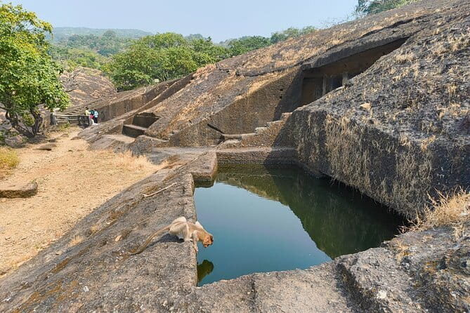 Mumbai Kanheri Caves & Golden Pagoda – A Buddhist Settlement - Timing, meeting point, and transport details