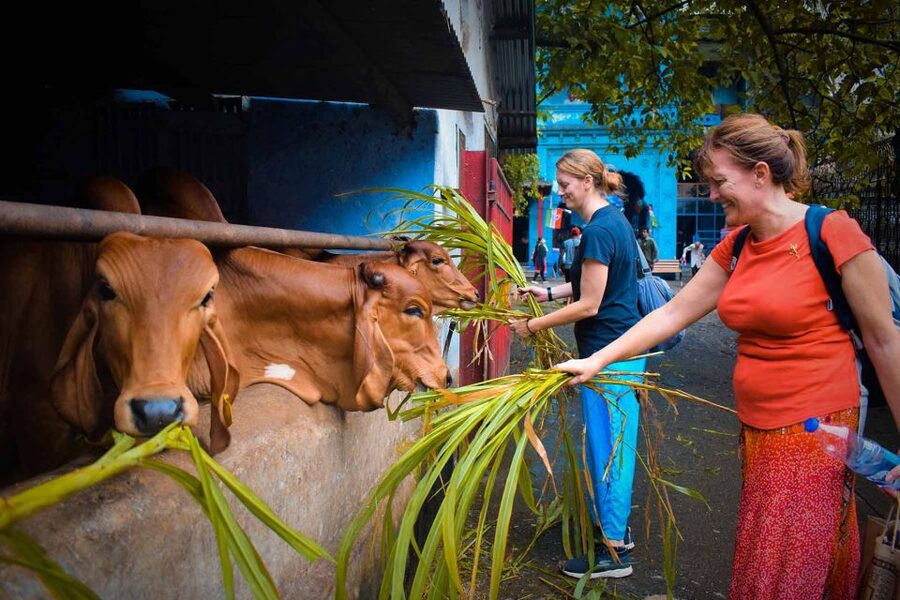 Mumbai: Local Markets & Temples Tour - Timing, transport, and the practical side