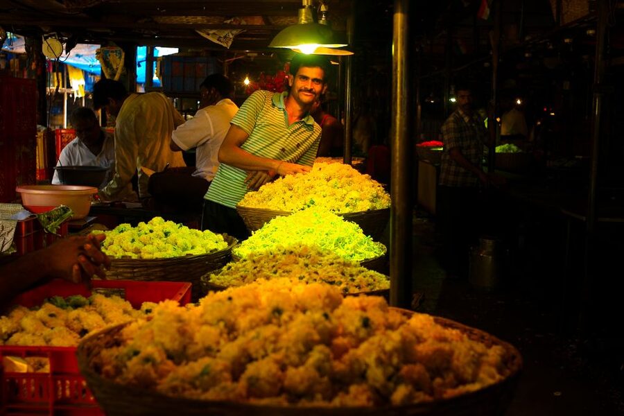 Mumbai: Local Transport & Dabbawallah Tour - The guide can make or break the pace