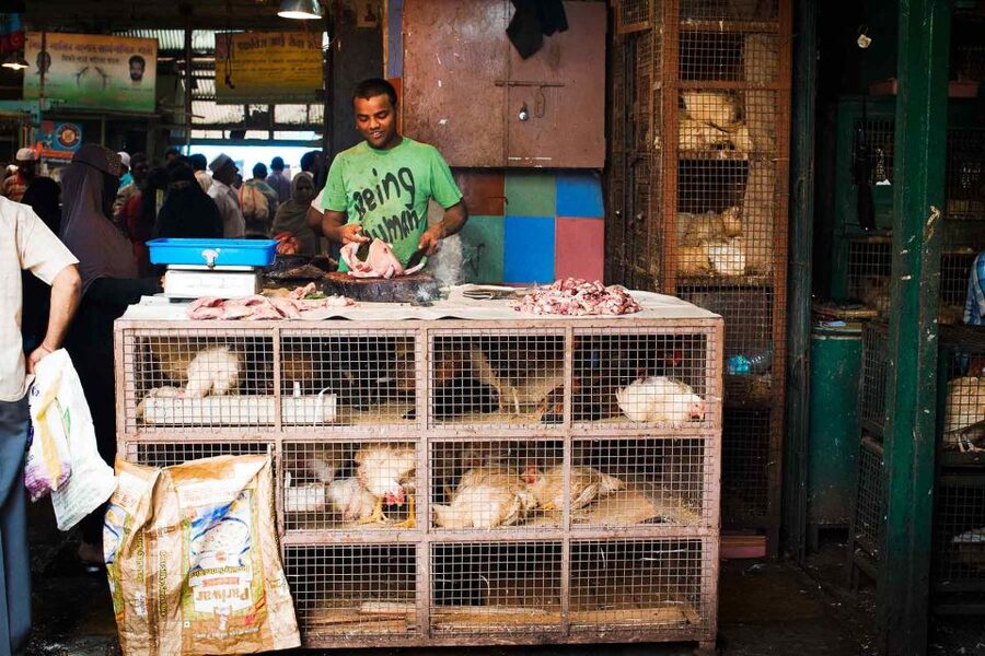 Mumbai: Local Transport & Dabbawallah Tour - Dhobi Ghat, where laundry becomes a city system