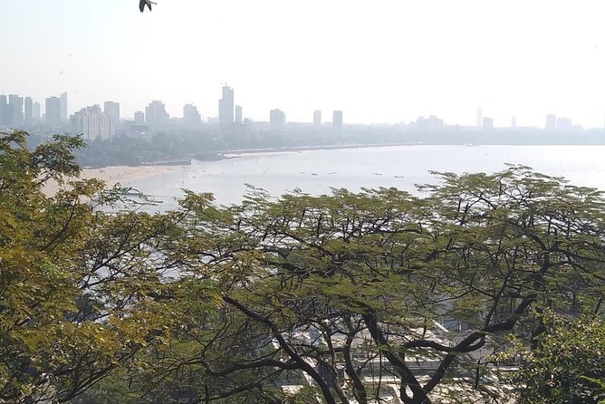 Private Mumbai City Tour - Dhobi Ghat and working-city Mumbai