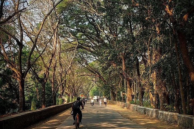 Sanjay Gandhi National Park and Kanheri Caves Day Private Tour - Why the private format matters
