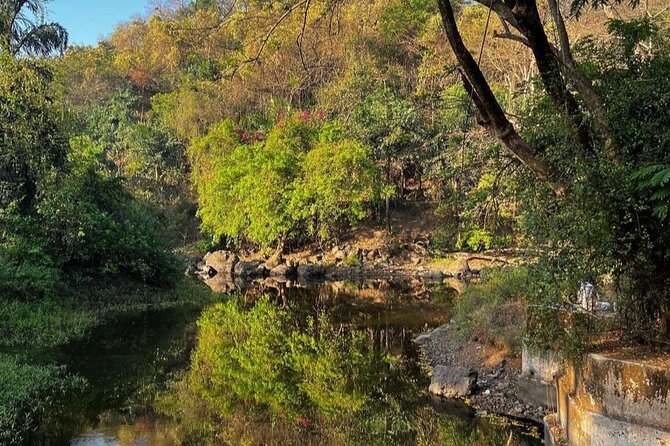 Sanjay Gandhi National Park and Kanheri Caves Day Private Tour - Kanheri Caves turn basalt into a Buddhist center