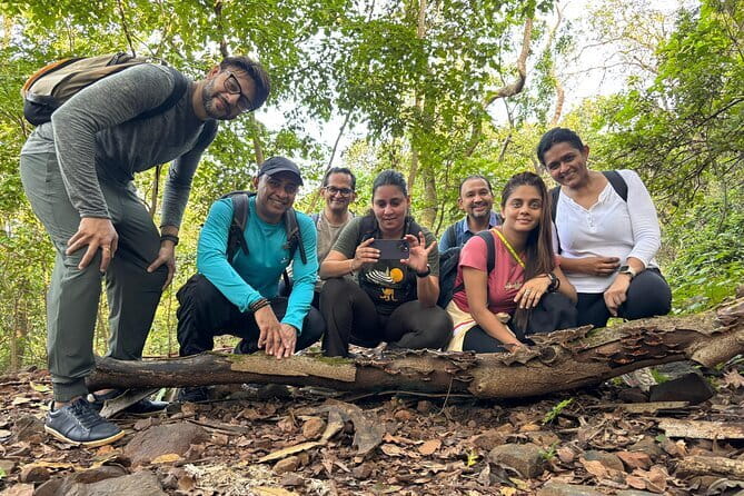 Sanjay Gandhi National Park+ Kanheri Caves + Temple +Tigar Safari - Why Sanjay Gandhi National Park feels so unexpected