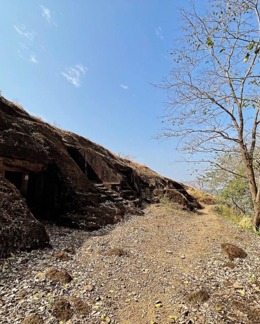Sanjay Gandhi National Park + Kenheri Caves + Lion Safari - The lion safari: wildlife without a long expedition