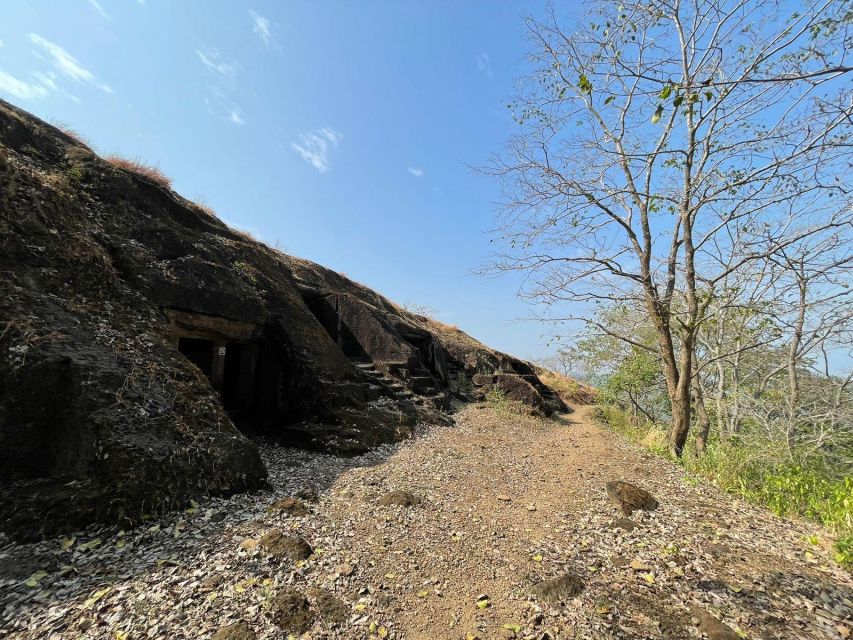 Sanjay Gandhi National Park + Kenheri Caves + Lion Safari - The Jain temple and the quieter side of the park