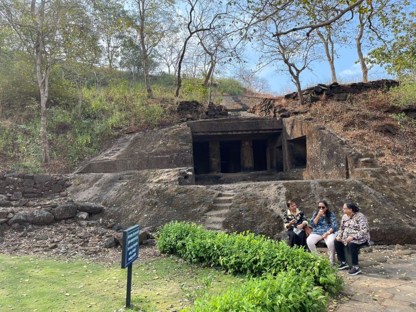 Sanjay Gandhi National Park + Kenheri Caves + Lion Safari - Private pickup, park entry and local transport