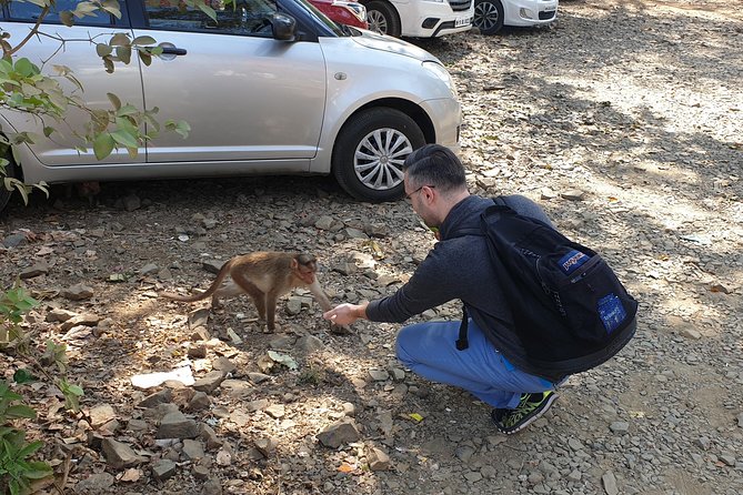 Sanjay Gandhi National Park(SGNP) + Kenheri Caves + Lion Safari + Jain Temple - A brief stop at Trimurti Jain Temple
