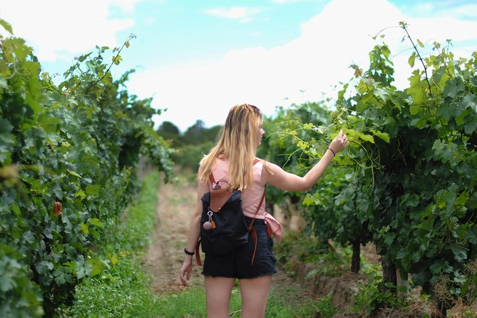 Sula Vineyards Day tour from either Mumbai OR Nashik - A vineyard day instead of another Mumbai attraction